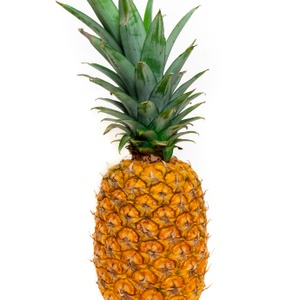 20210630 1760 Trachet ananas